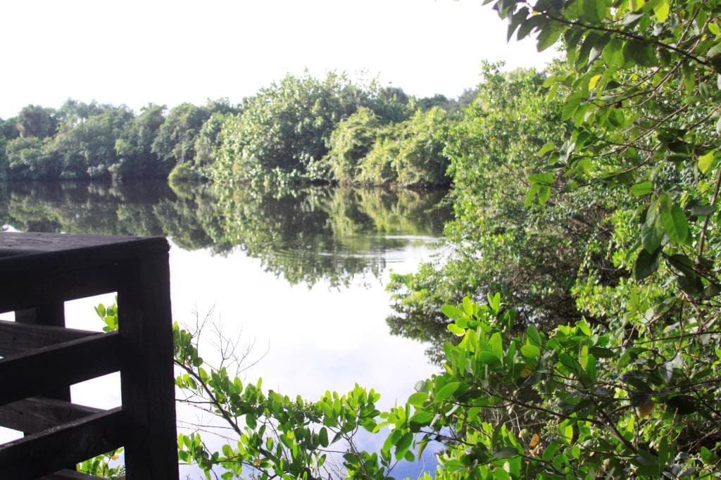 Frenchman's Forest Natural Area 9-19-15