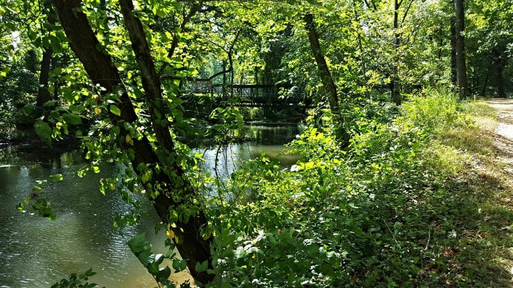 Autumn Foliage Views