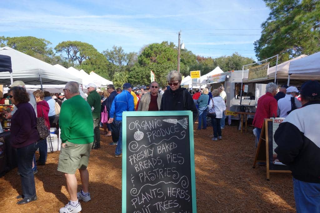 Food Vendor Delights