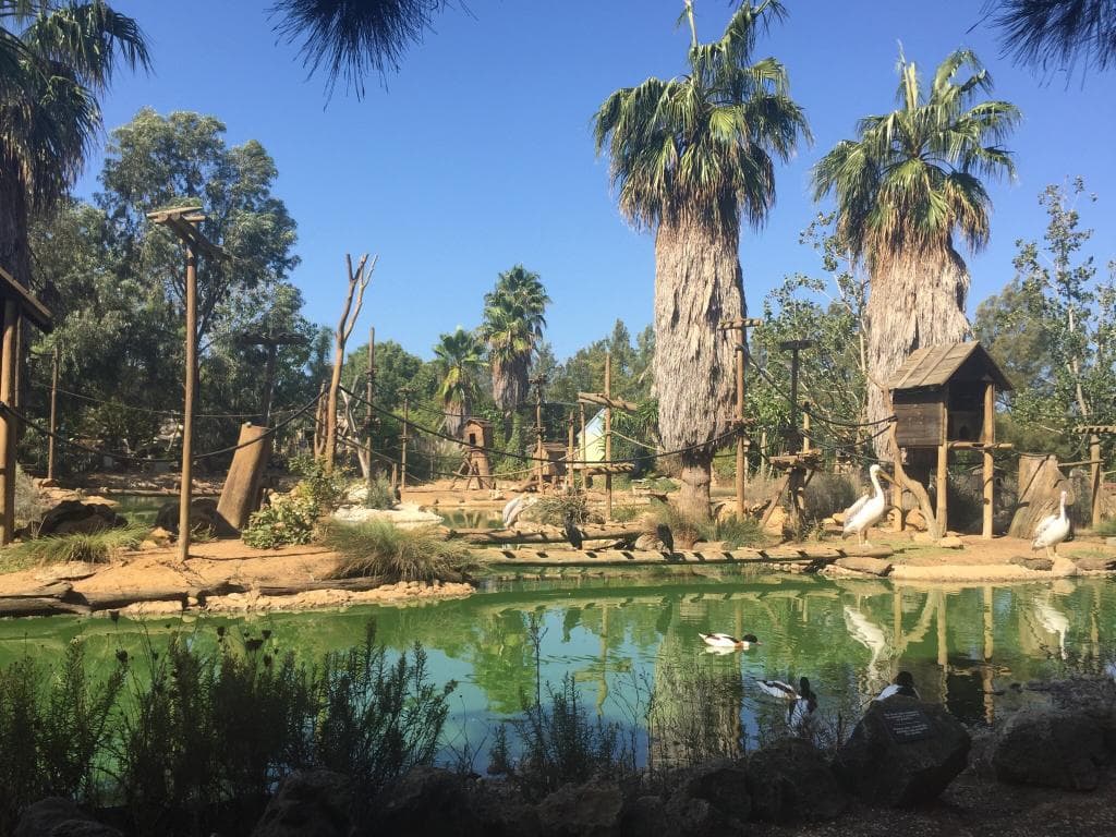 Zoológico de Morelia Benito Juárez