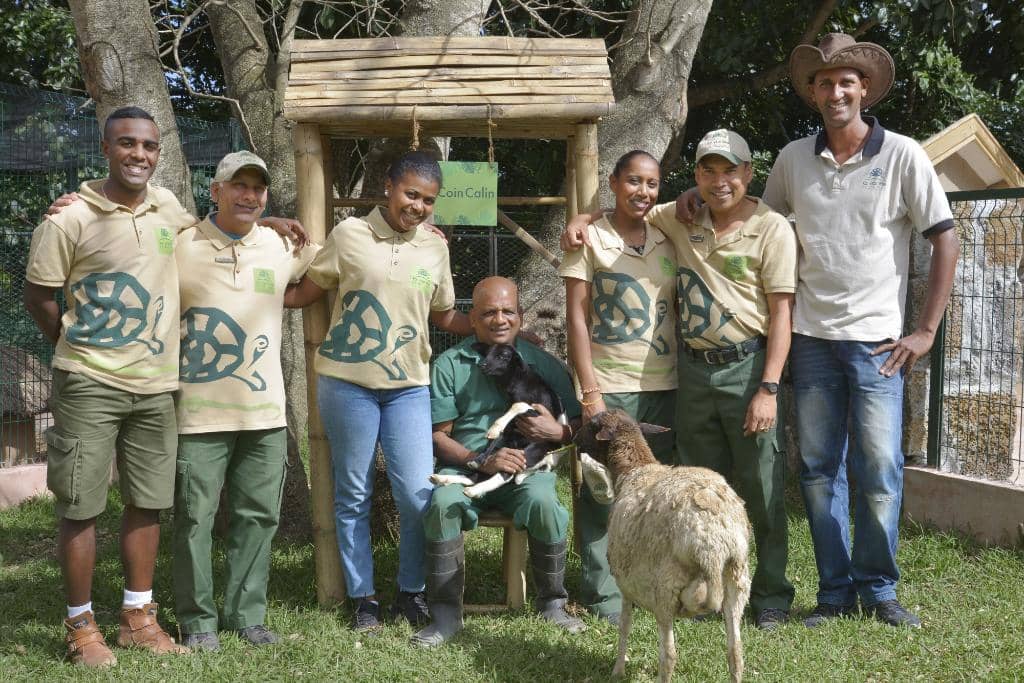 Giant Tortoise Feeding