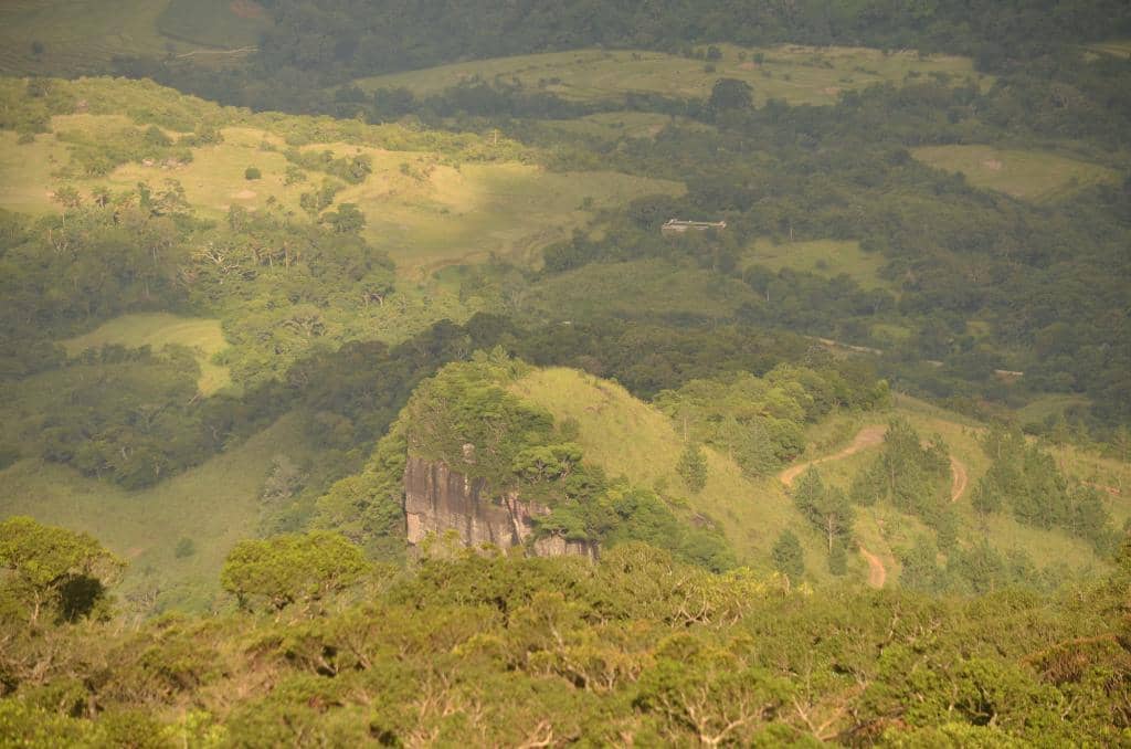 Pitawala Pathana Grassland