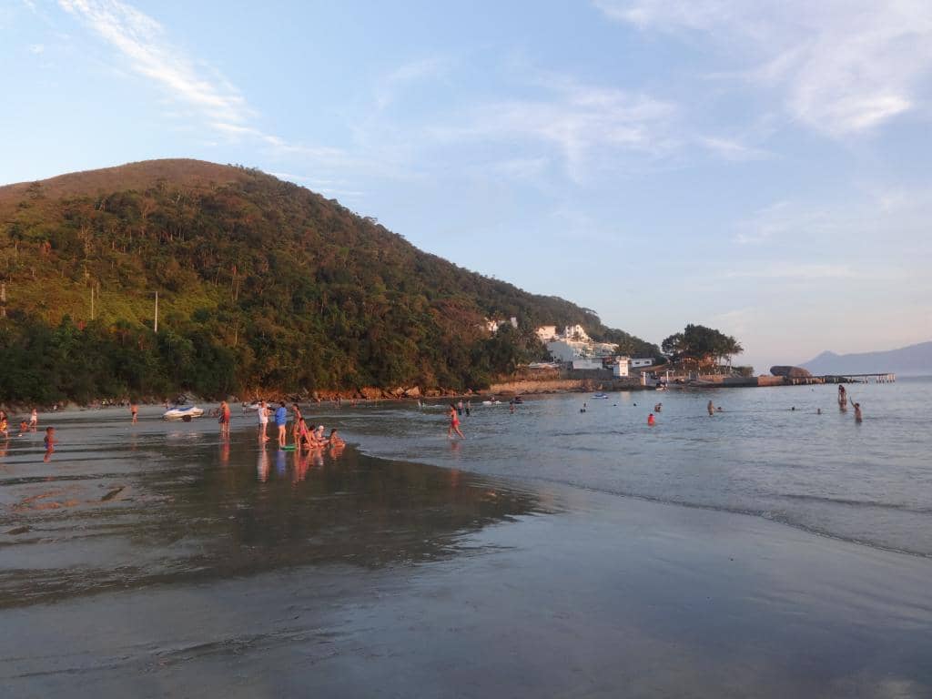 Tranquil Shores
