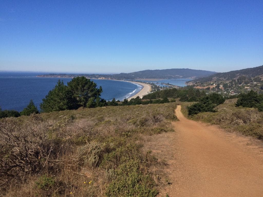 Dipsea Trail