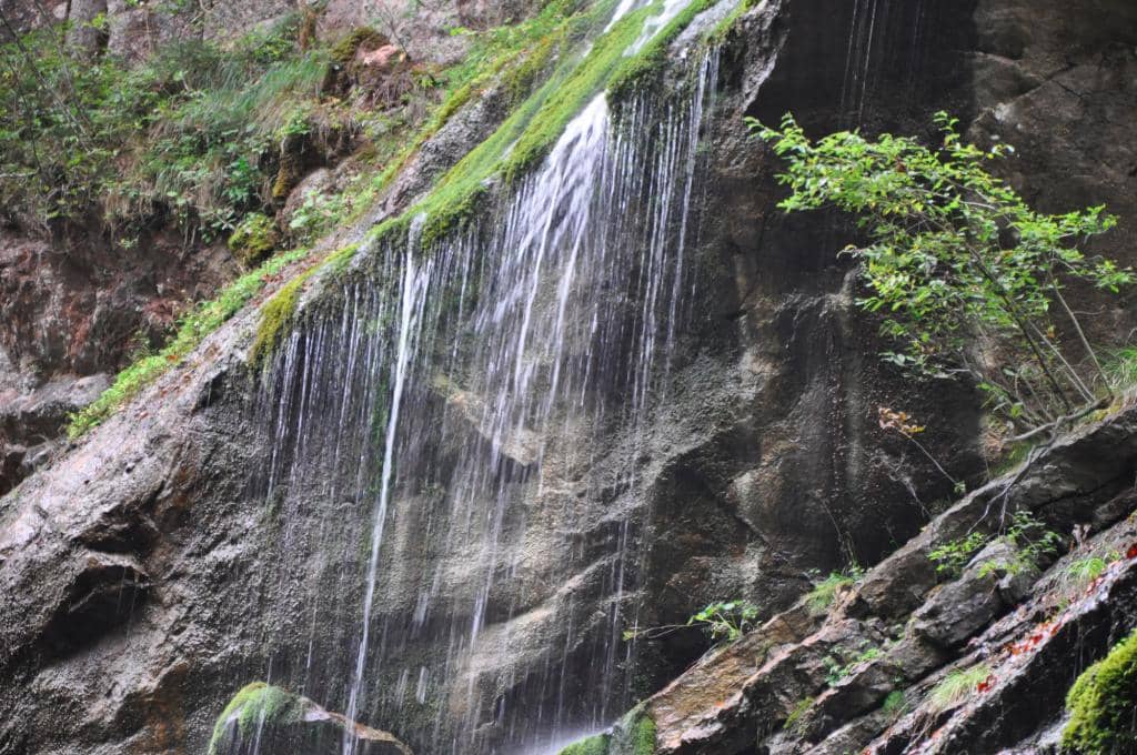 The Gorge Walkway