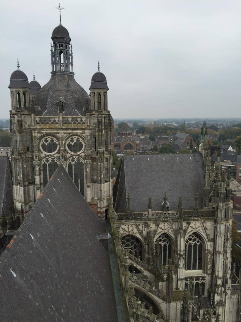 Vertical photo