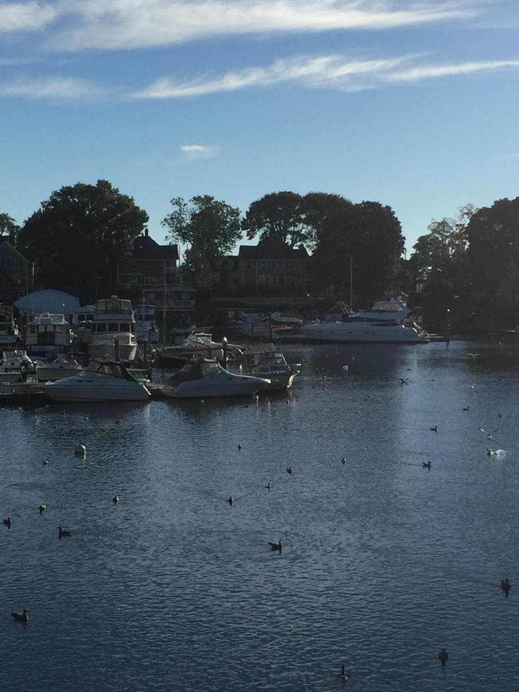 Marina in the morning.