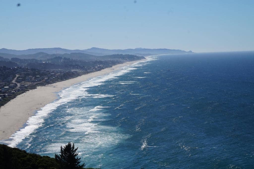 Tide Pool Exploration