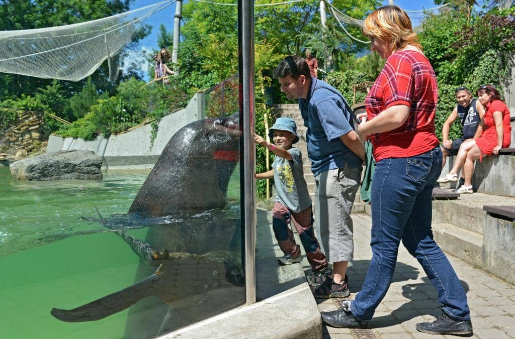 Themed Animal Habitats