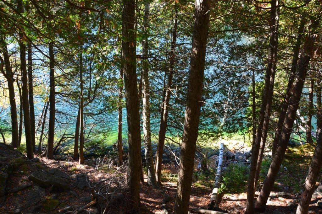 Iroquoian Longhouse Village