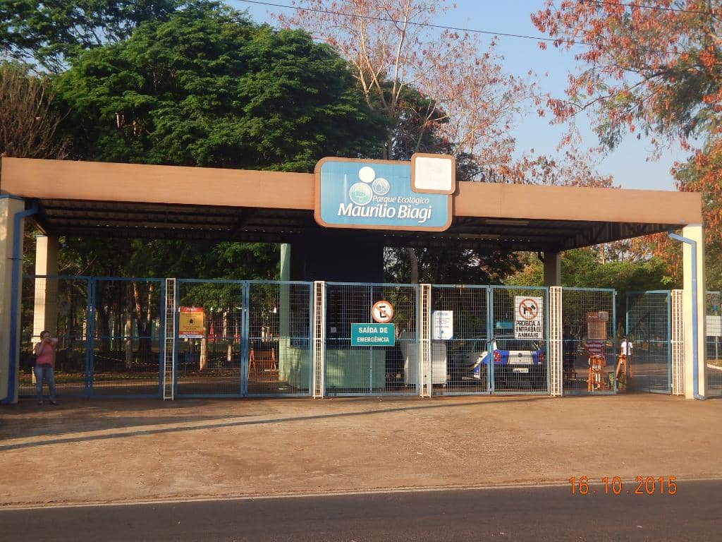 Green Space for Activity