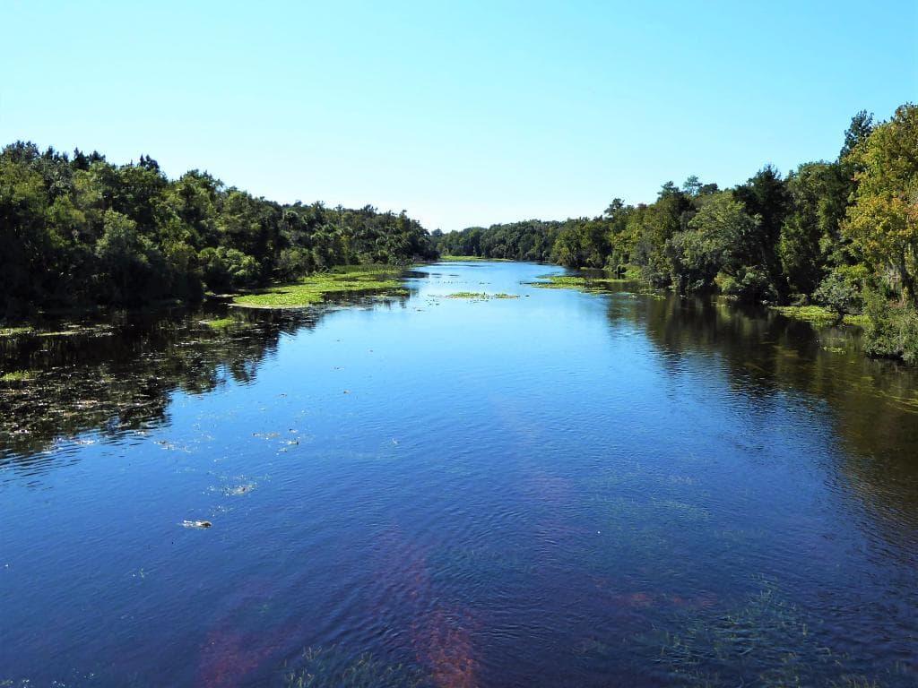 Spring Creek