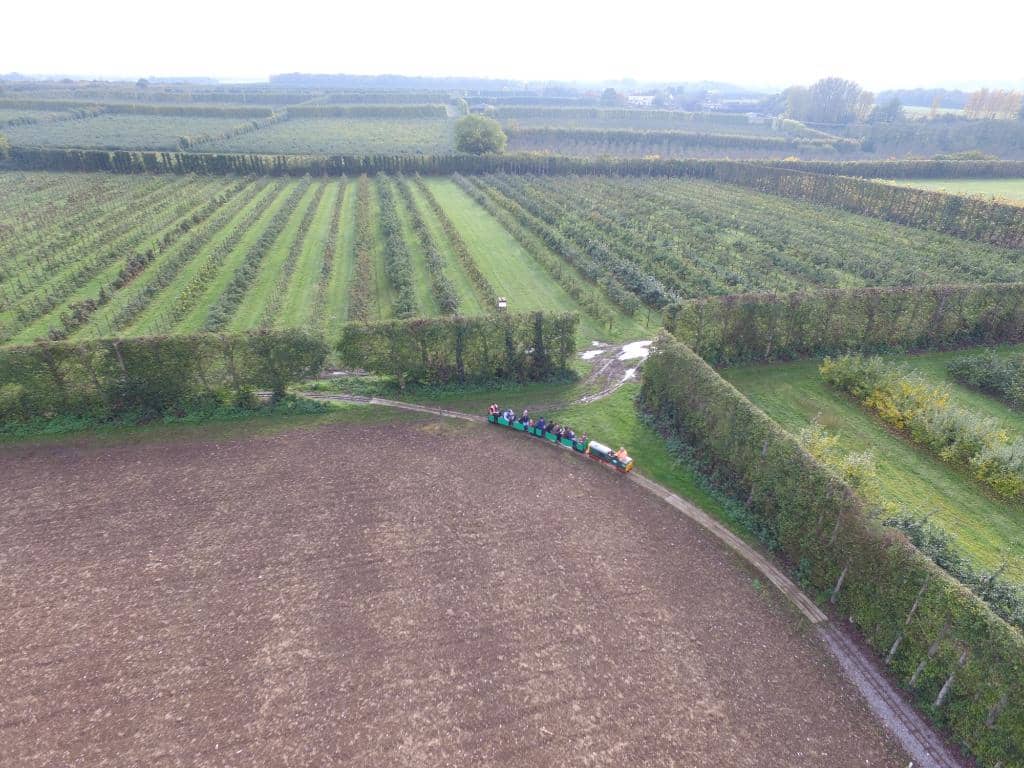 Family Fun at Brogdale Farm