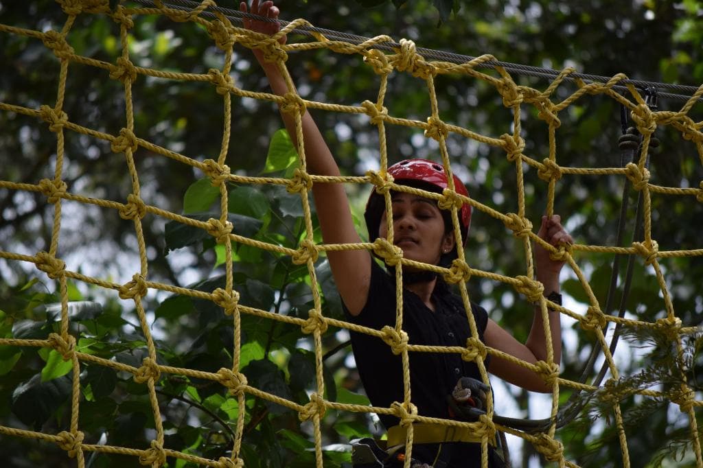 Tree Top Adventure .