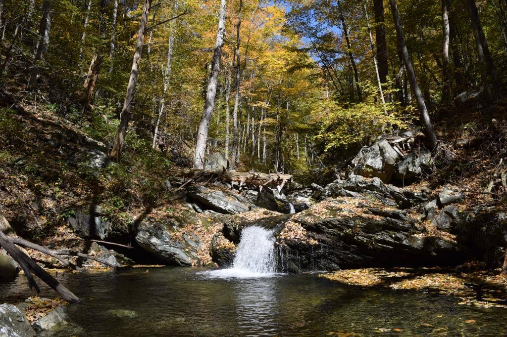 Loop Trail Experience