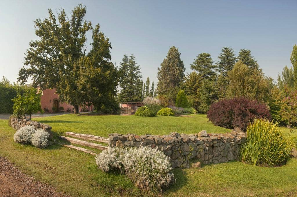 Charming Vineyard Grounds