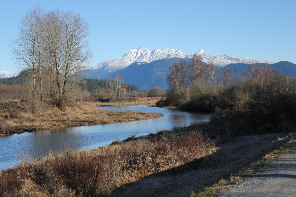 DeBoville Slough