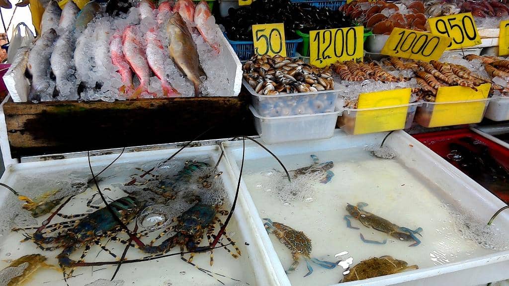 Fresh Seafood Galore