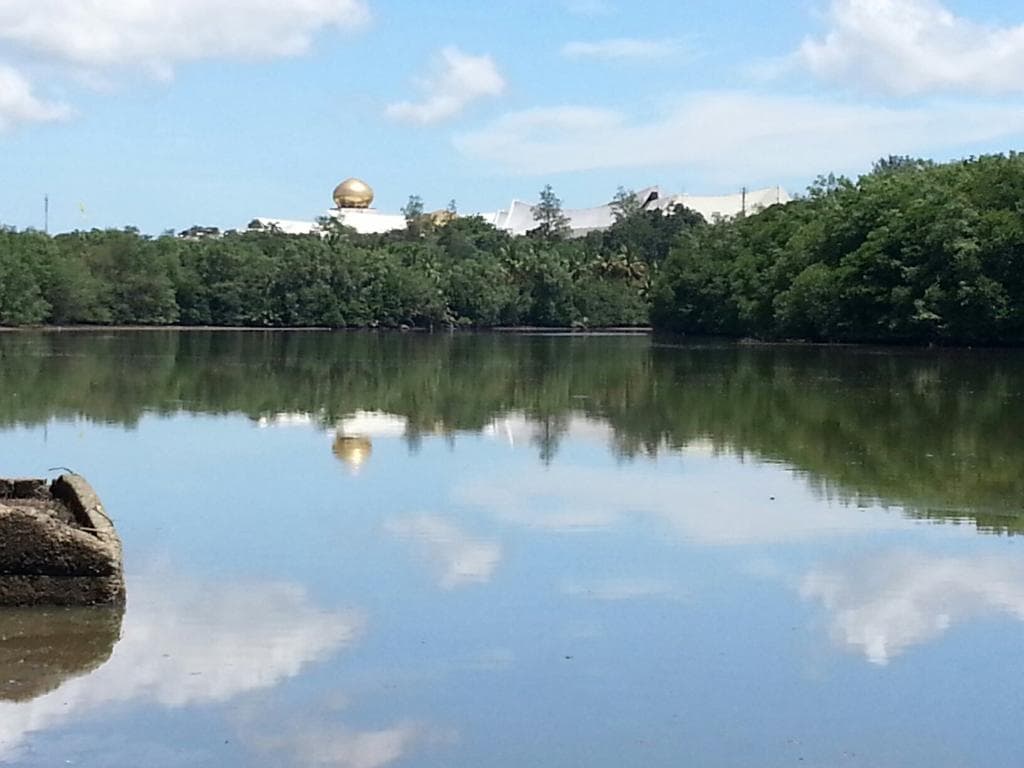 View .of the palace from Damuan