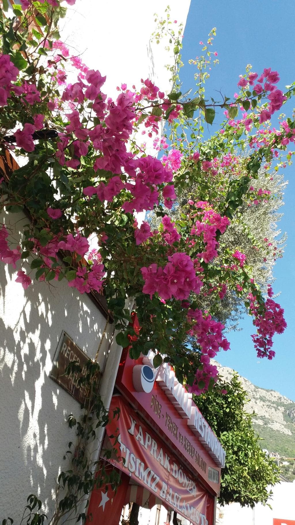 öz Nazilli restaurant