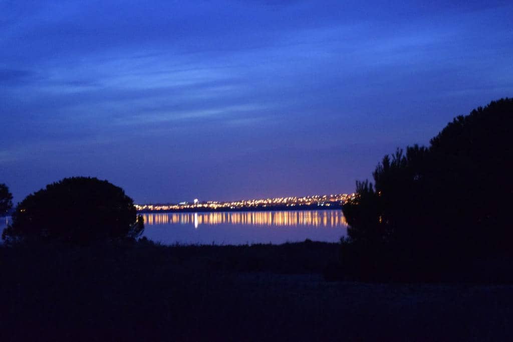 Scenic Walking Trails