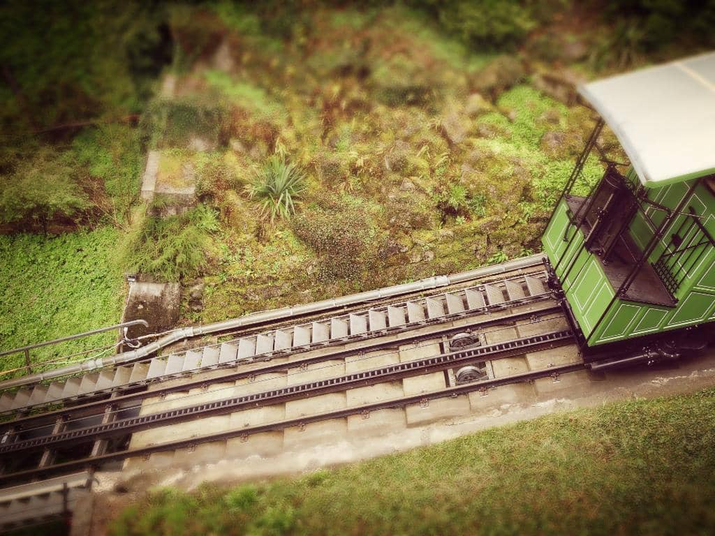 Vertical photo