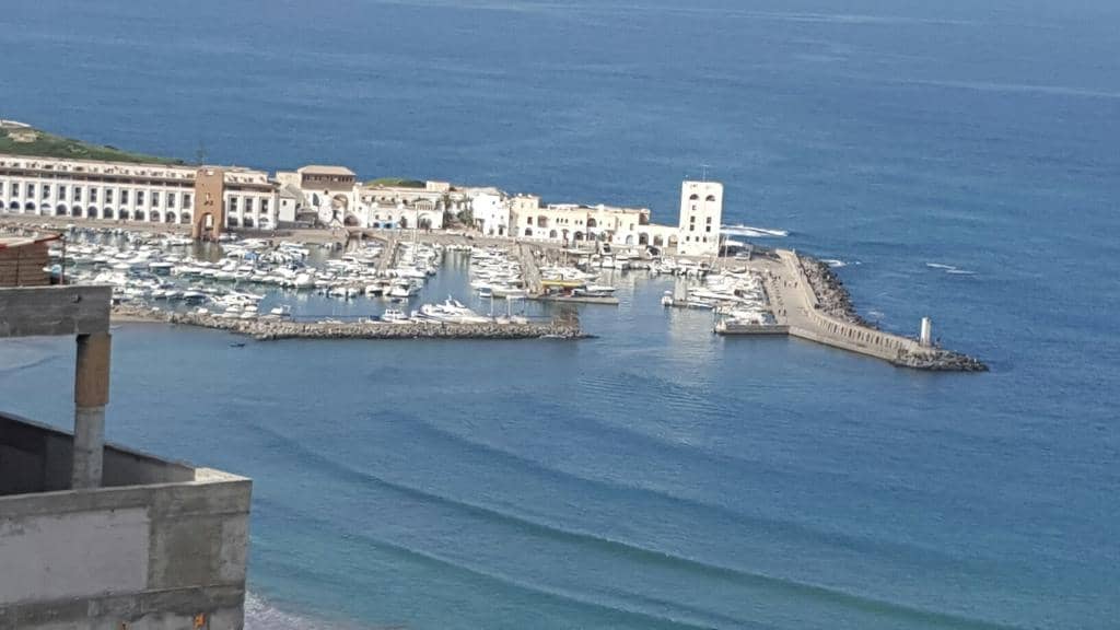 Picturesque Marina Views