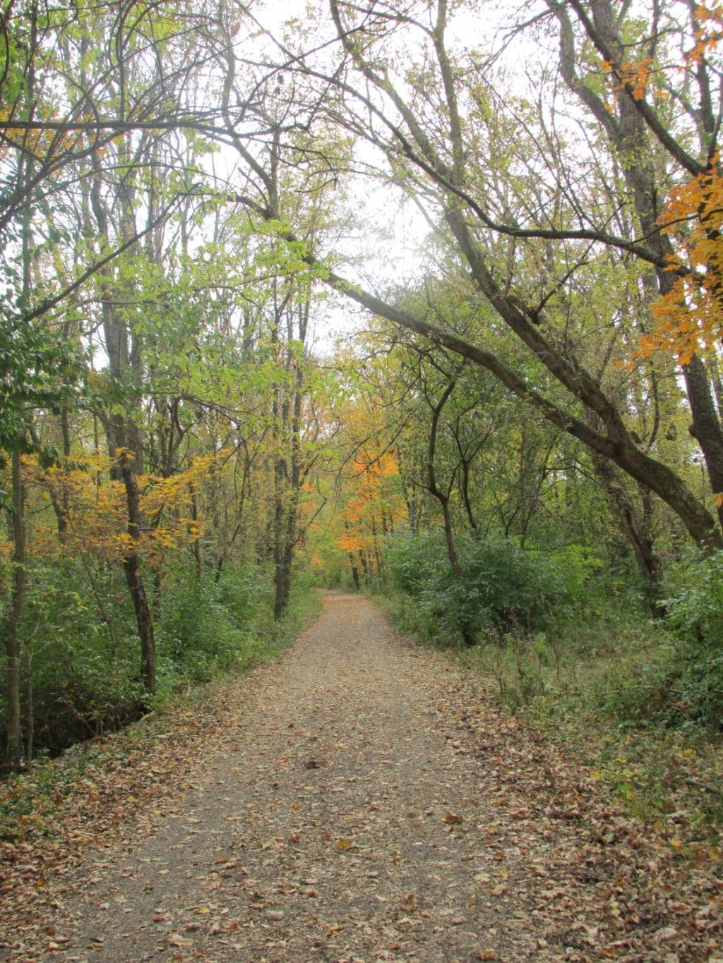 Switchyard Park