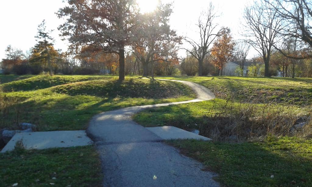 Lion Feeding Experience