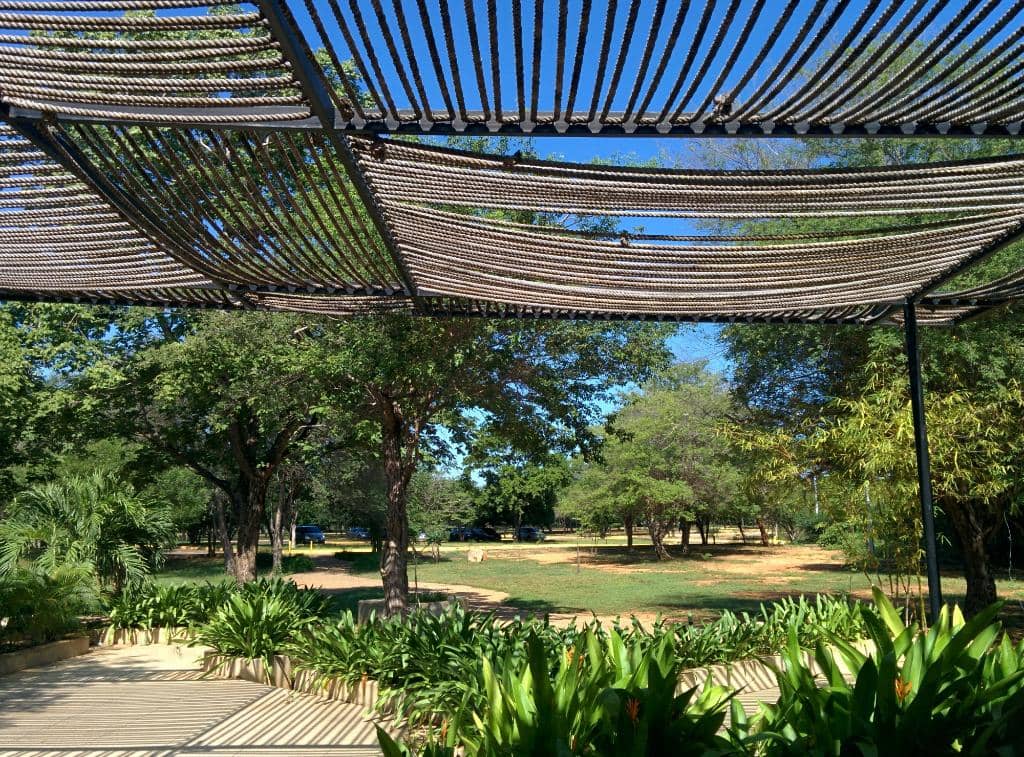 Cycling Through Nature