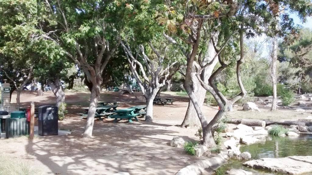 Amphitheater & Picnic Areas