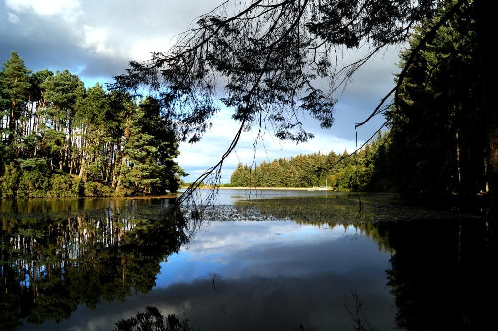 Beecraigs Loch view