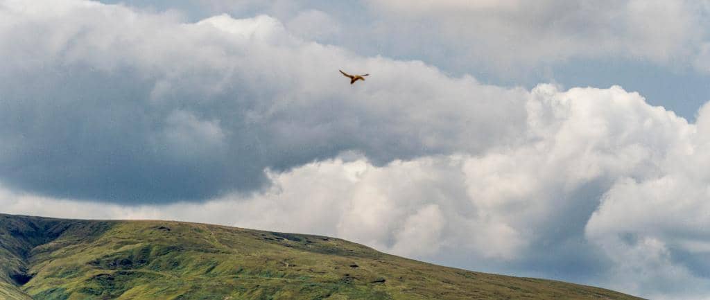 Moorland Exploration