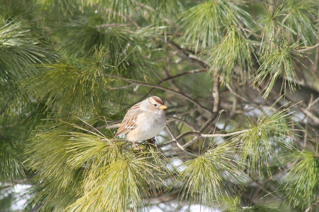 Magical Grotto & Waterfall