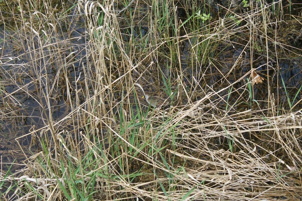 Birds of Prey Exhibit