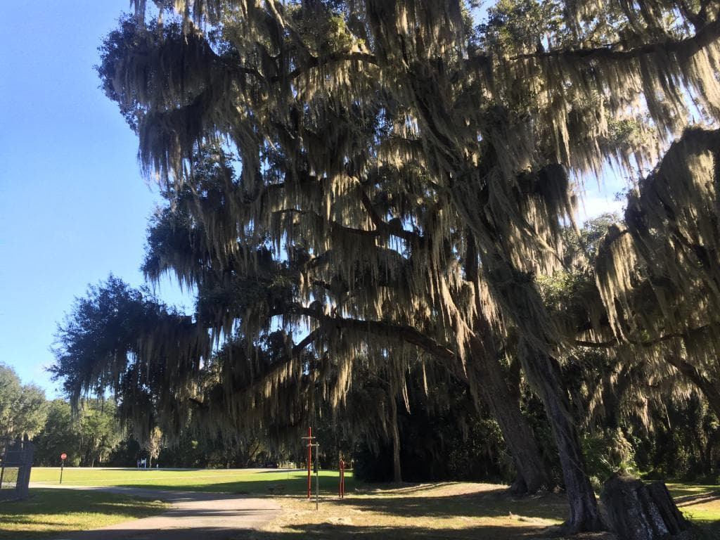Lake Okahumpka Park