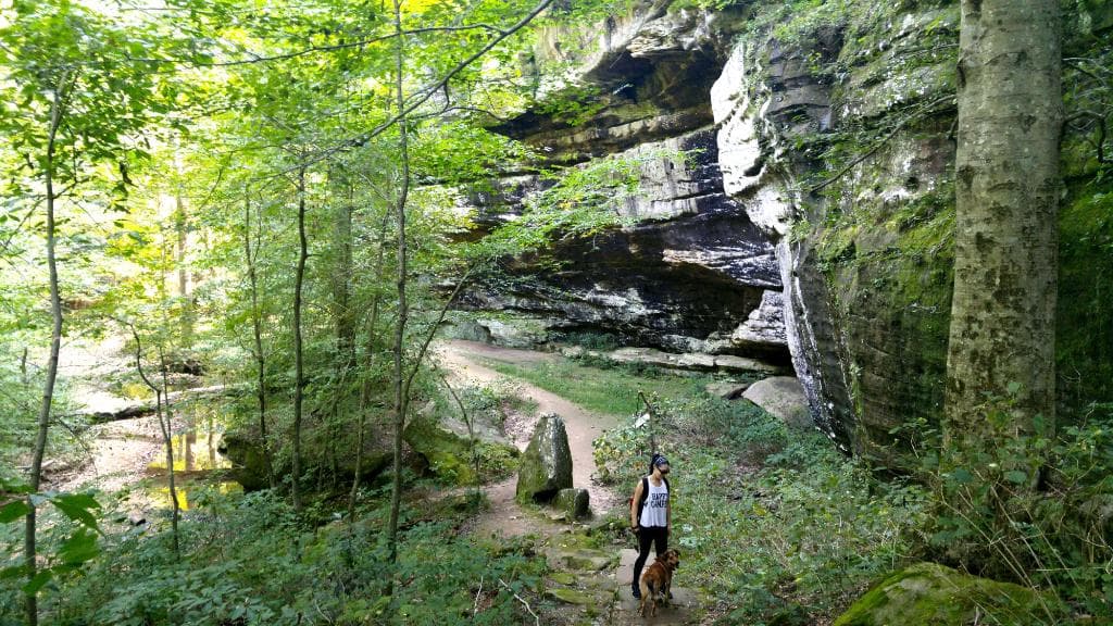 ox-lot cave