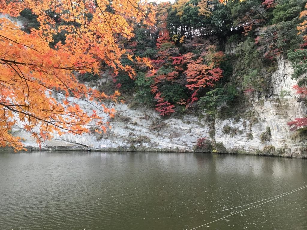 亀山湖・折木沢橋周辺