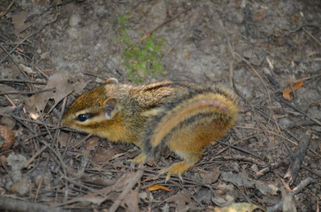 Dramatic Coastal Views