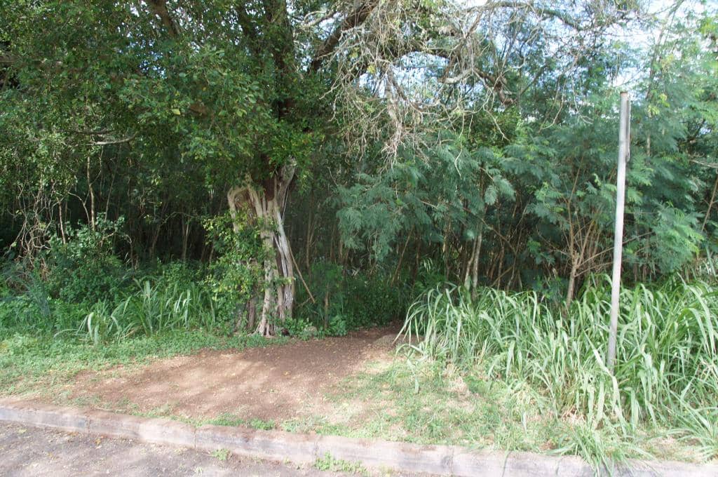 WWII Pillbox Bunkers