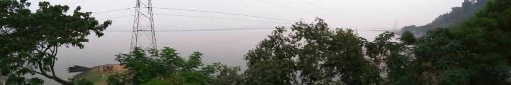 Migratory Bird Spectacle