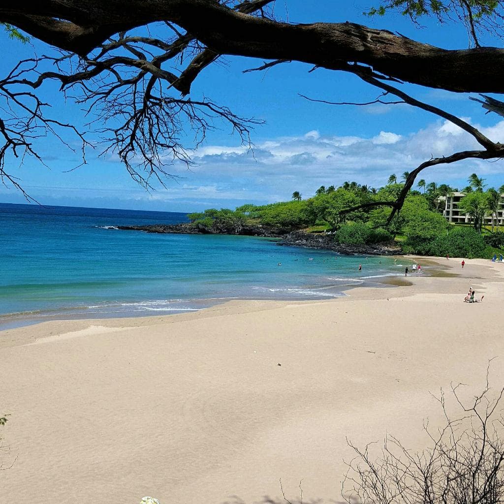 Hāpuna Beach State Recreation Area