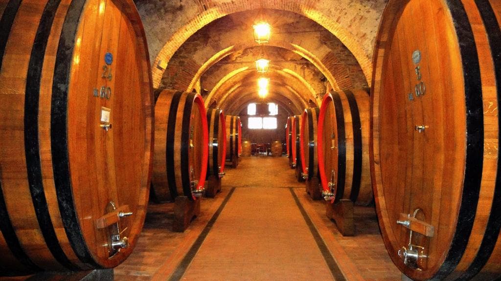 Cantina Fattoria della Tolosa