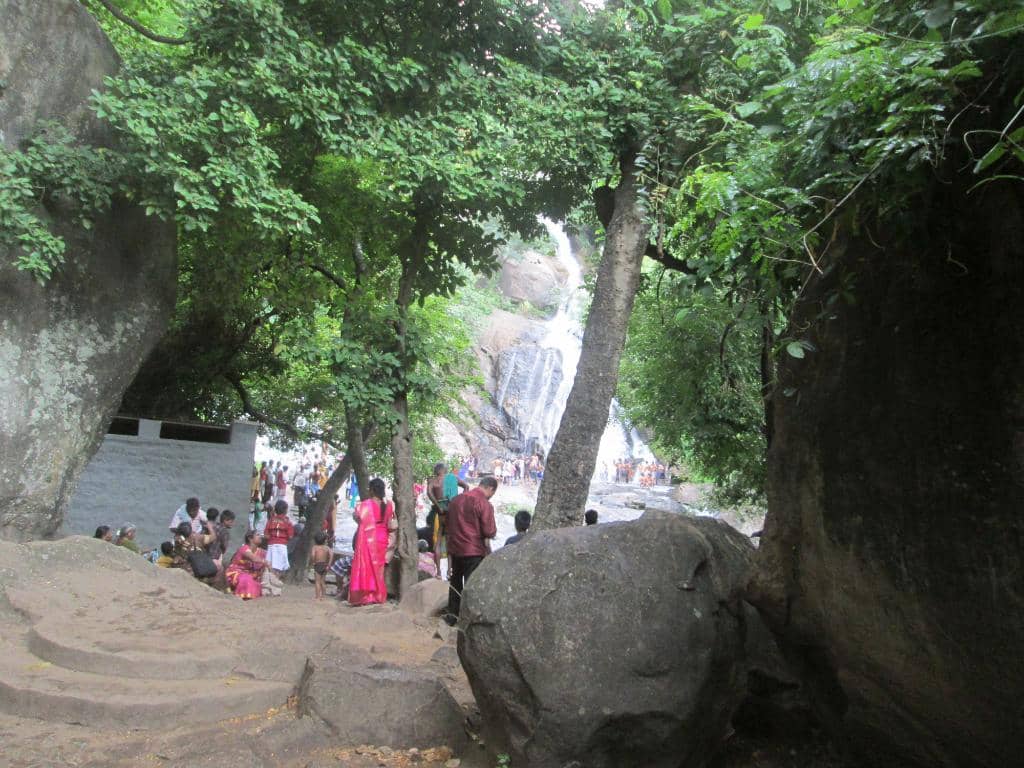 Natural Swimming Pool
