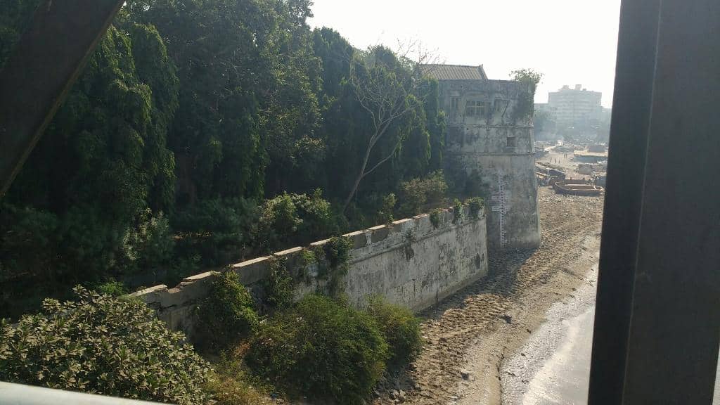 The Historian's Insight