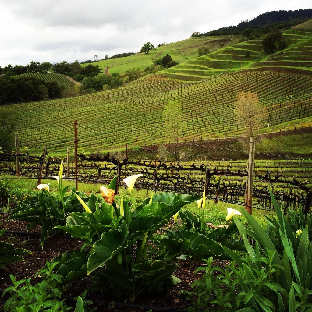 Jack Creek Cellars