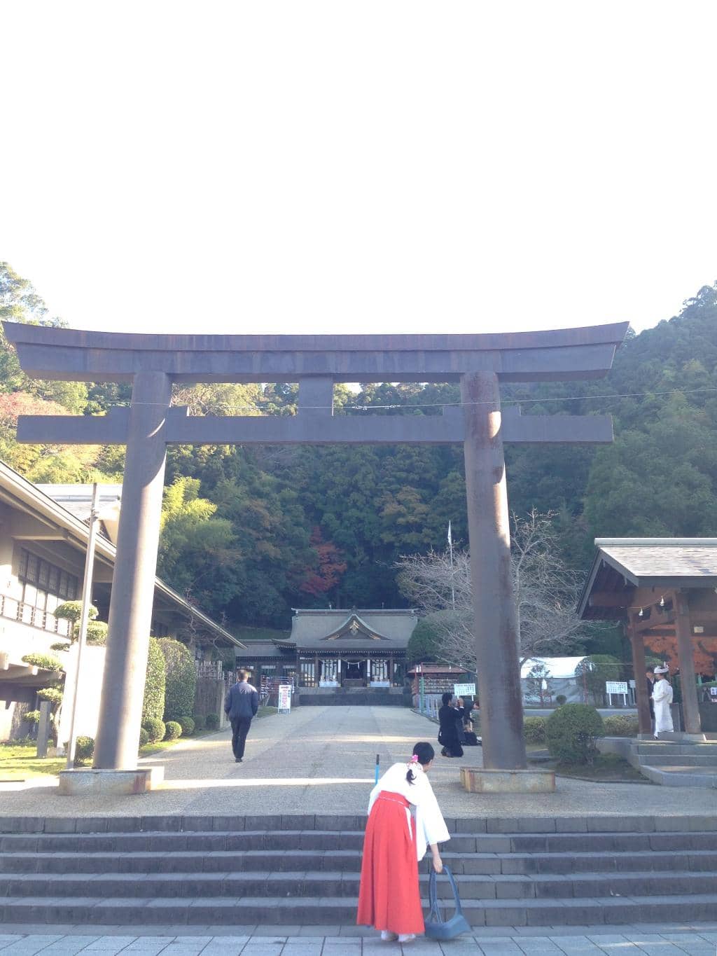 Vertical photo
