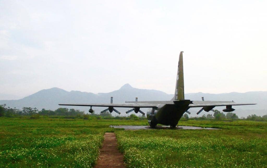 Peaceful Coffee Fields