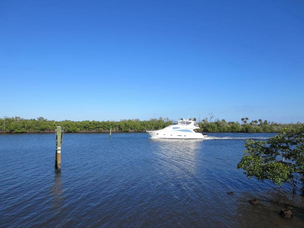 Wildlife Viewing Opportunities