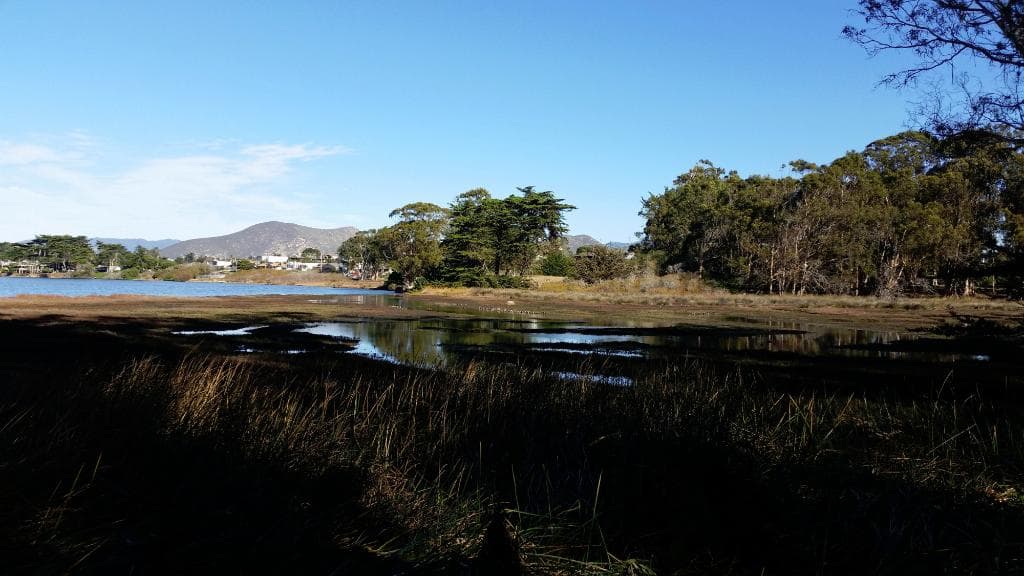 The town of Morro Bay in the distance